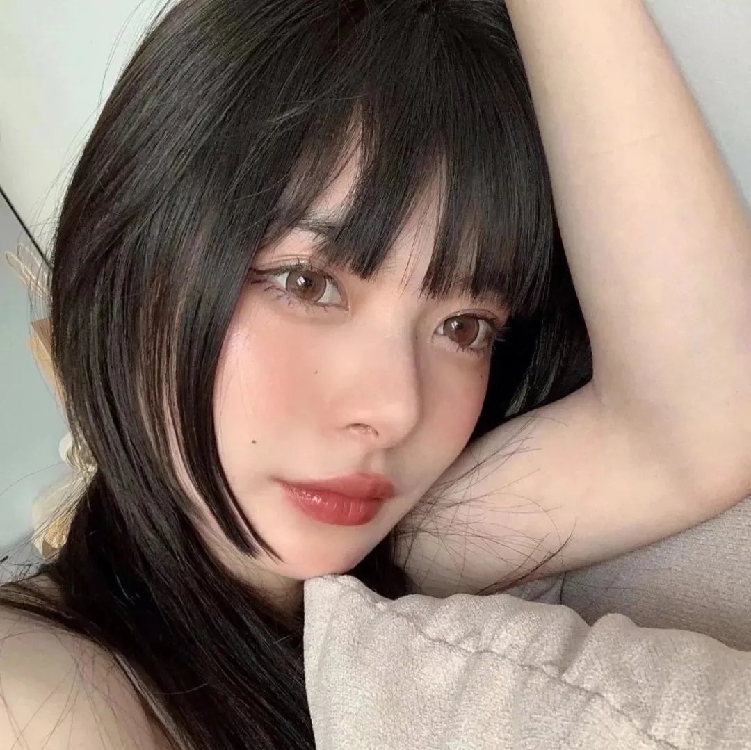 美国豚鼠